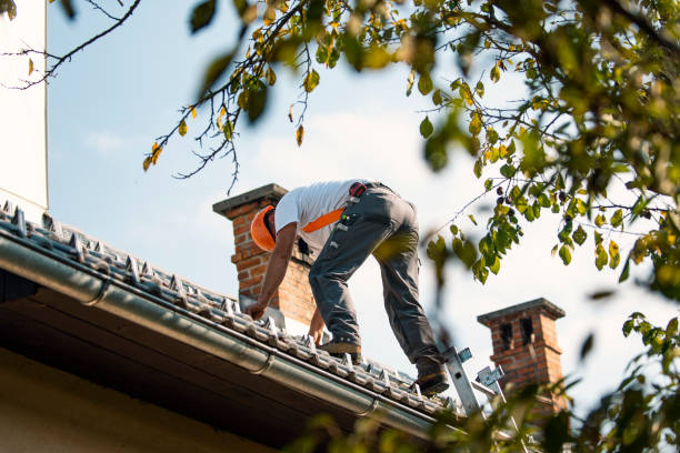 Residential Roof Replacement in Butte, AK