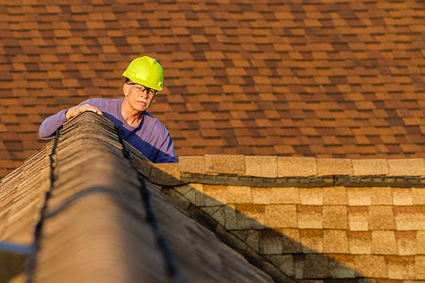 Best Roof Gutter Cleaning  in Butte, AK